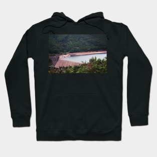 Over The Dam Hoodie